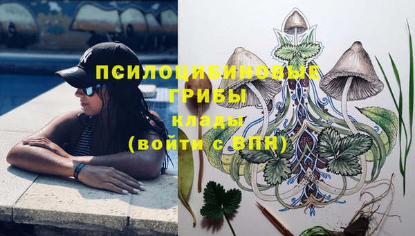 дмт Алексин