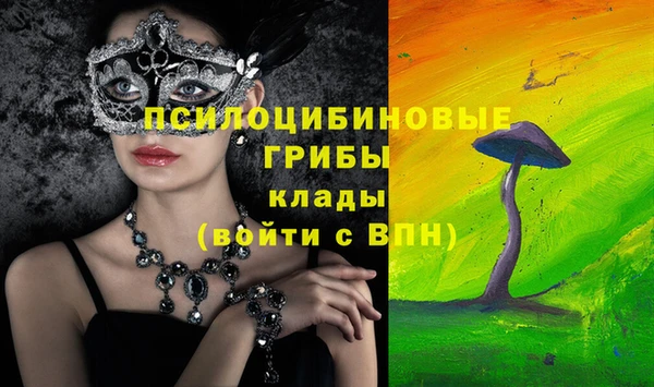 дмт Алексин